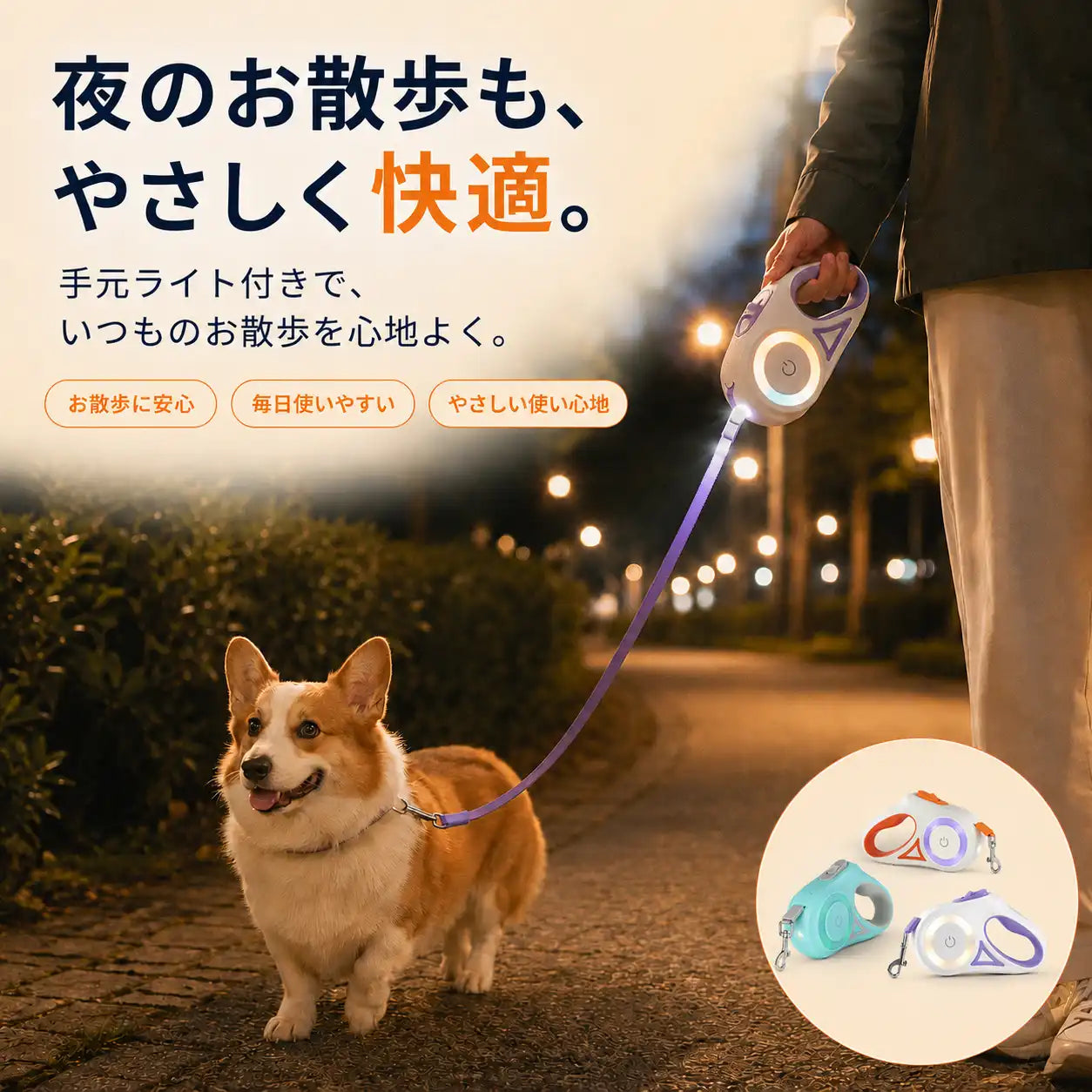 WPJP ヒカリード