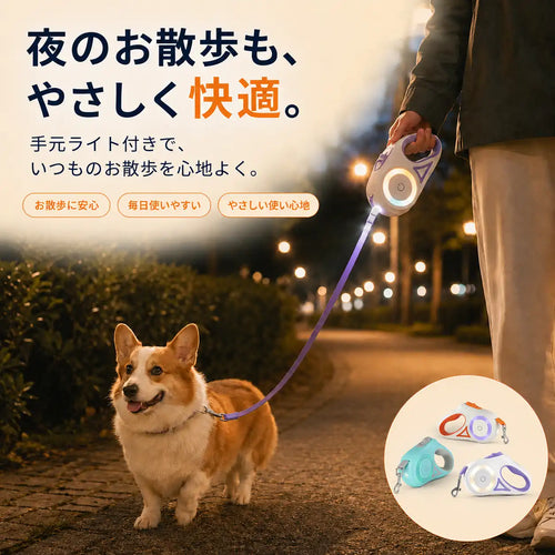 WPJP ヒカリード