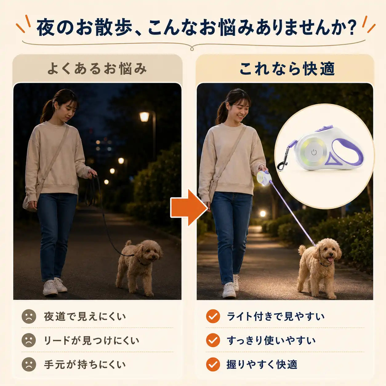 WPJP ヒカリード