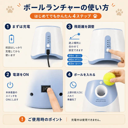 WPJP コロコロキャッチ