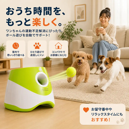 WPJP コロコロキャッチ