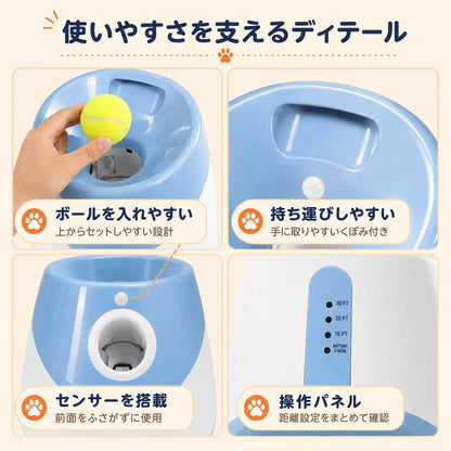 WPJP コロコロキャッチ