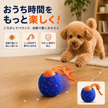WPJP コロンボール
