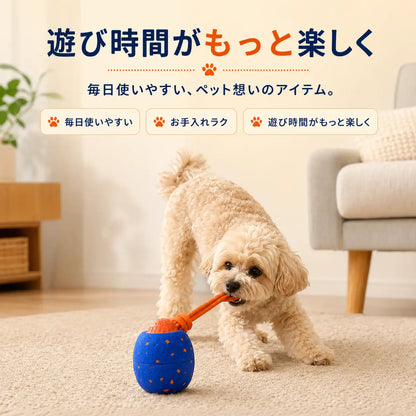 WPJP コロンボール