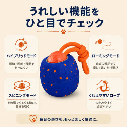 WPJP コロンボール