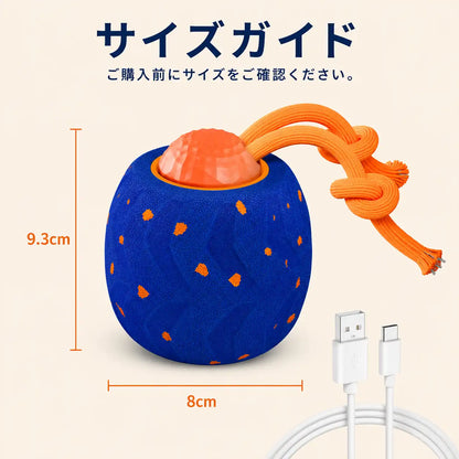 WPJP コロンボール