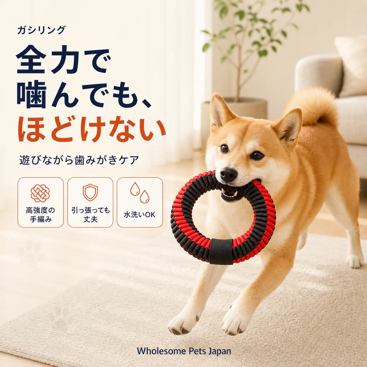 ガシリングをくわえて走る柴犬