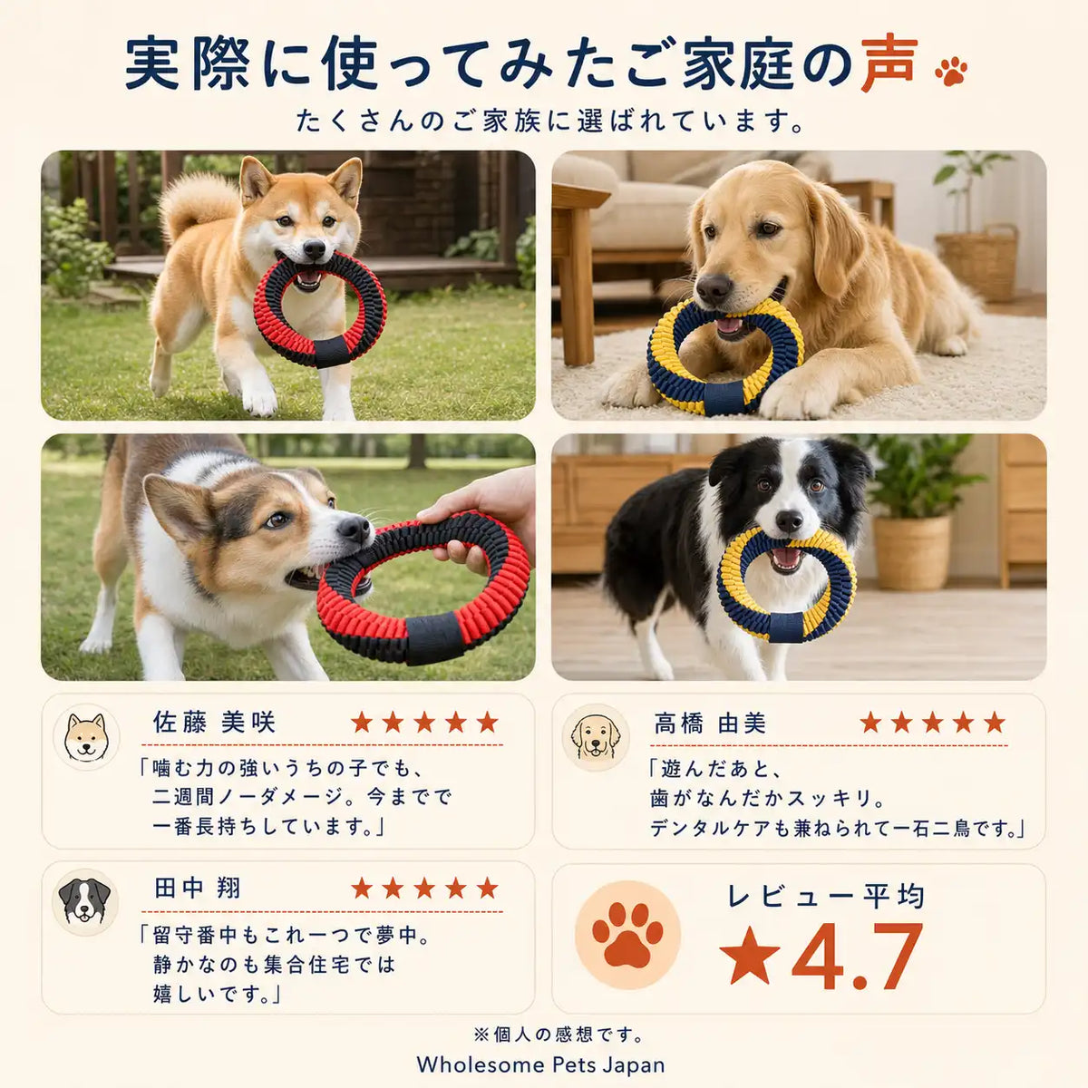 ガシリングで遊ぶご家庭の愛犬たち