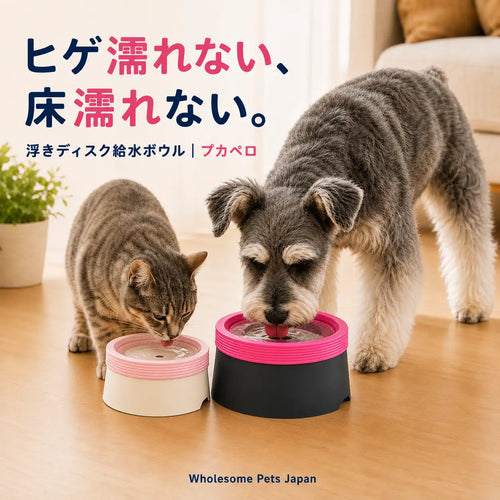 WPJP プカペロ