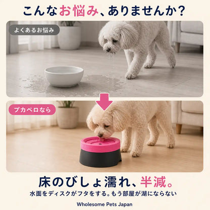 WPJP プカペロ