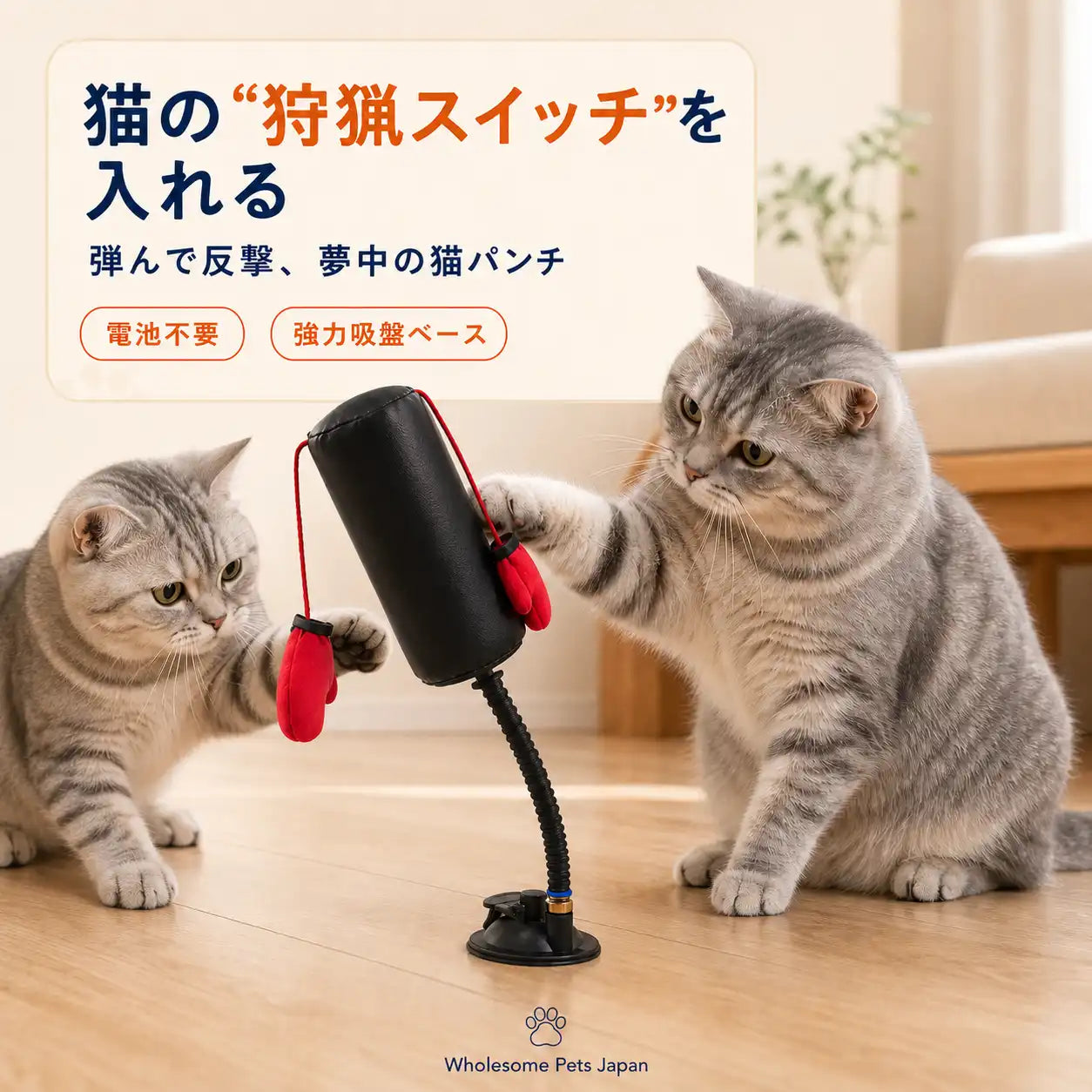 WPJP にゃんパンチジム