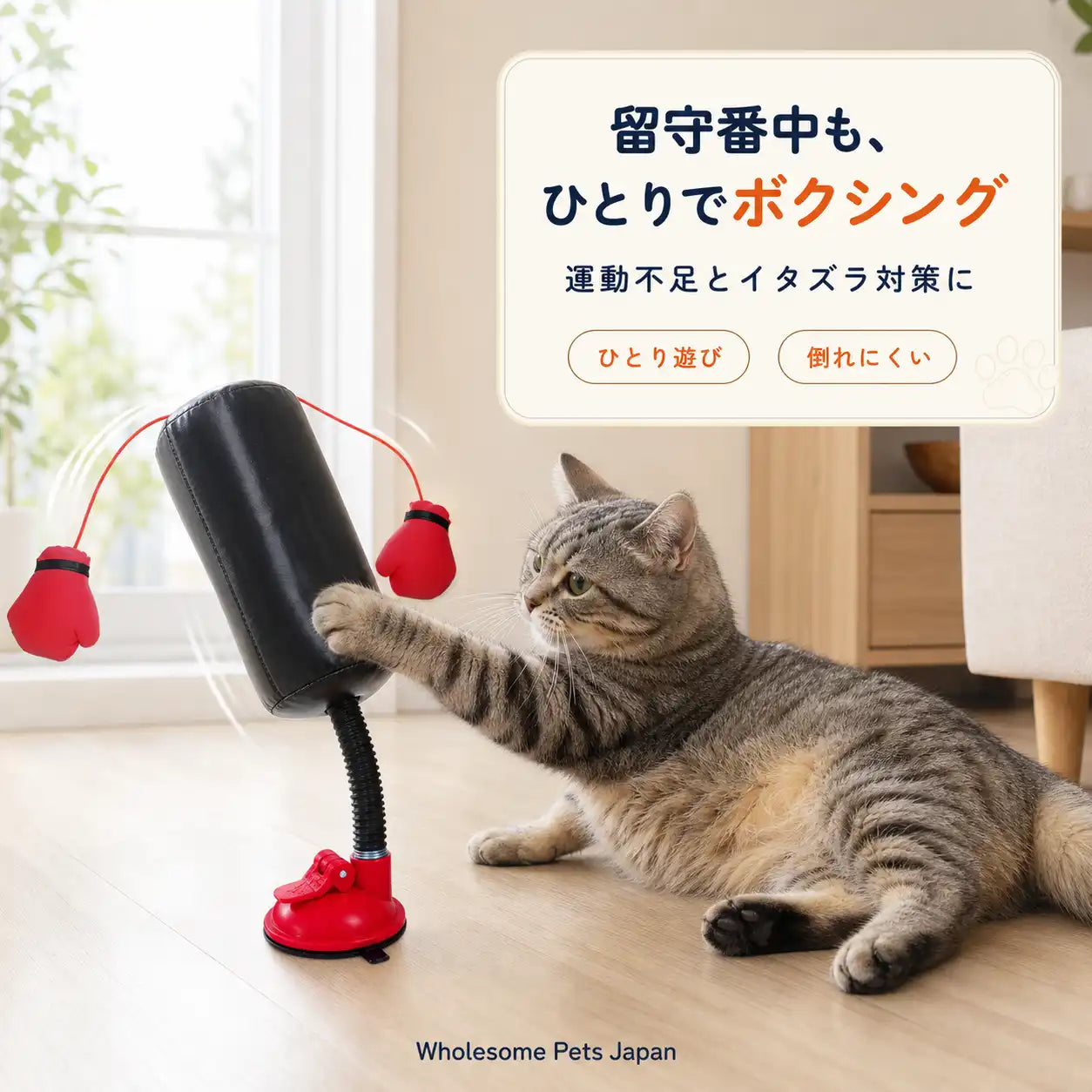 WPJP にゃんパンチジム