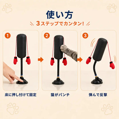 WPJP にゃんパンチジム
