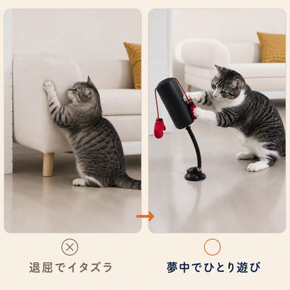 WPJP にゃんパンチジム