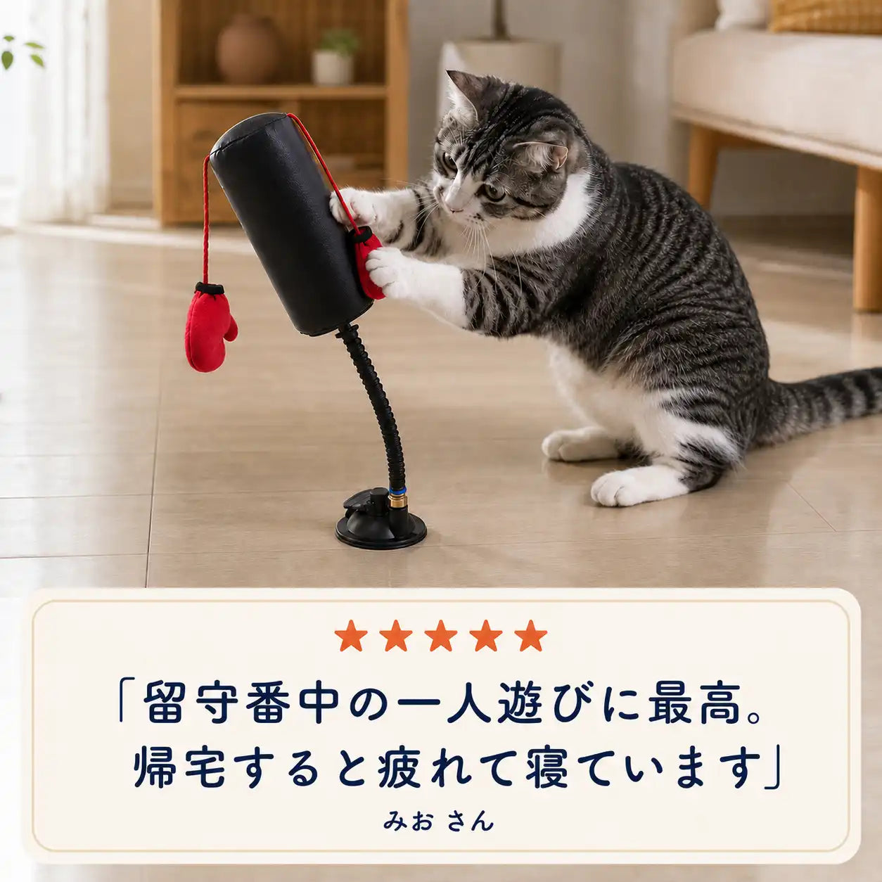 WPJP にゃんパンチジム