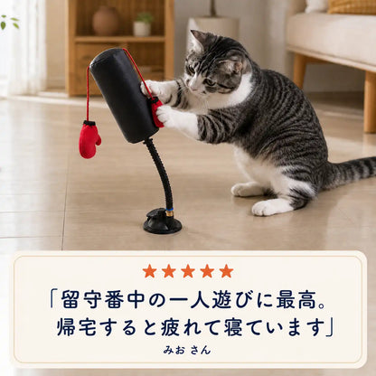 WPJP にゃんパンチジム
