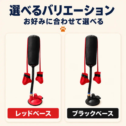WPJP にゃんパンチジム