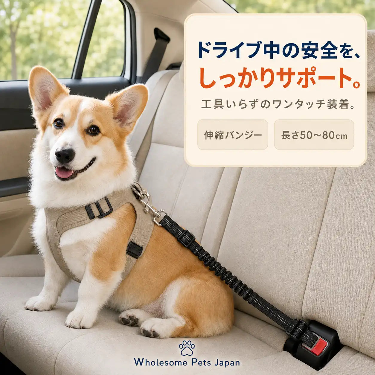 WPJP あんしんドライブベルト