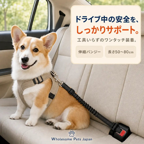 WPJP あんしんドライブベルト