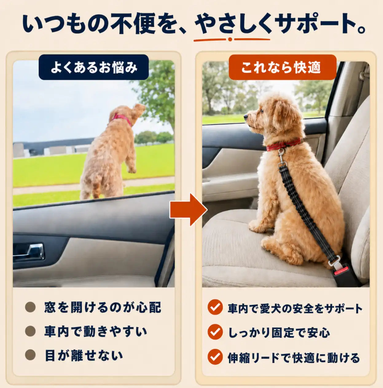 WPJP あんしんドライブベルト