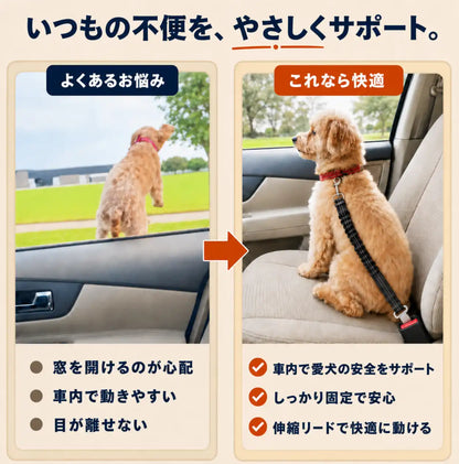 WPJP あんしんドライブベルト