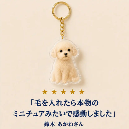 WPJP うちのこクリスタル