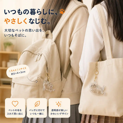 WPJP クリアにゃん