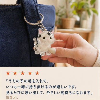 WPJP クリアにゃん