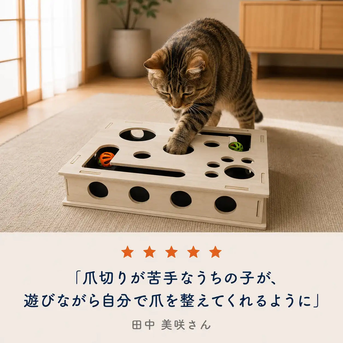WPJP 木製ねこ知育めいろ箱