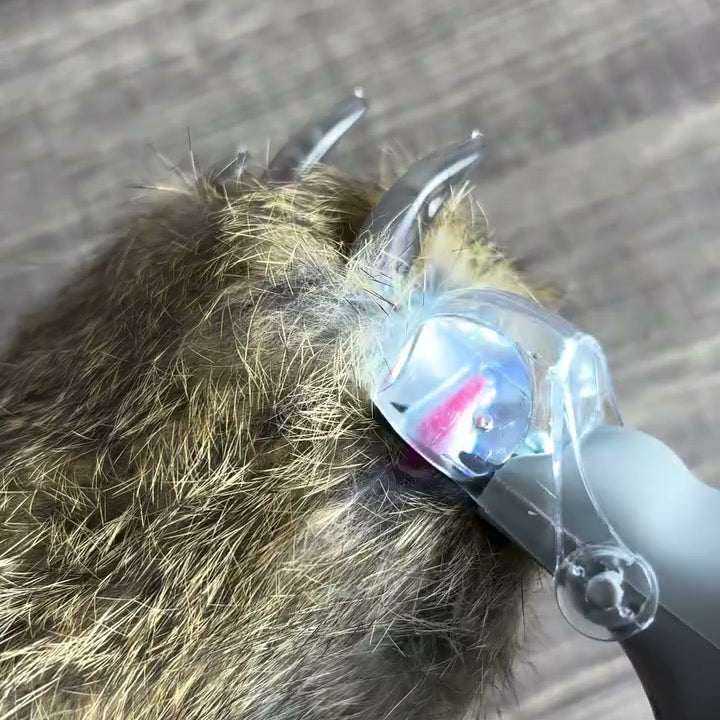 刃の穴に爪を通し、ライトで血管を確認する様子
