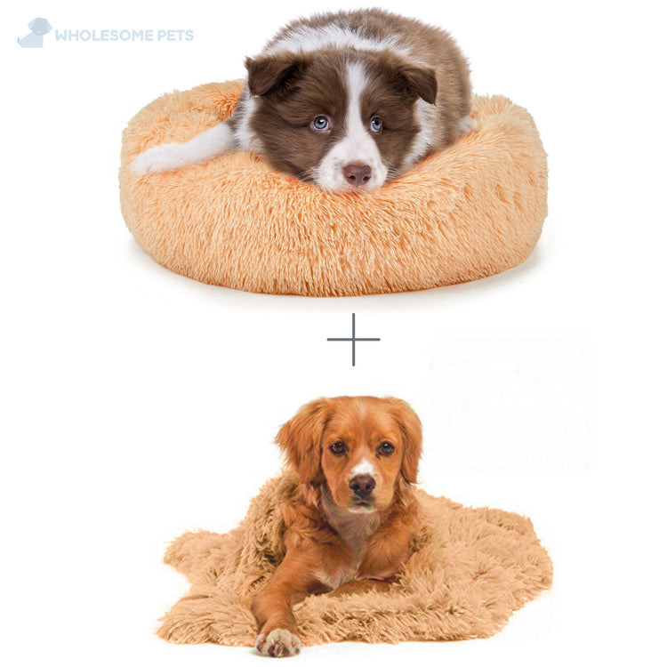 癒しのラグジュアリーベッド – Wholesome Pets Japan