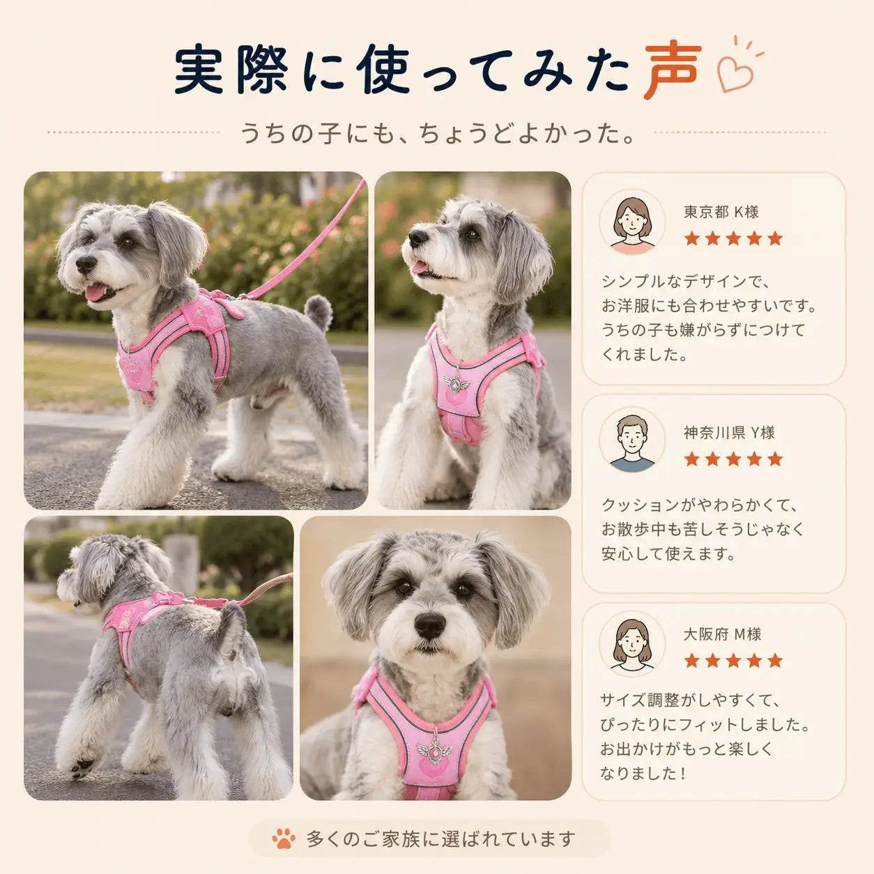 WPJP エンジェルウィングハーネス