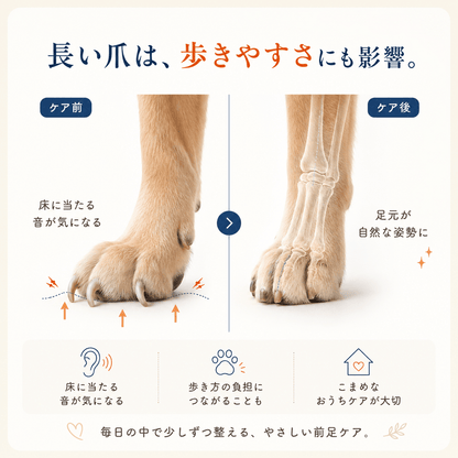 WPJP ごほうび爪ケアボード