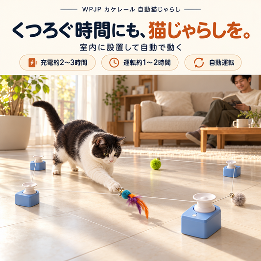 WPJP カケレール 自動猫じゃらし