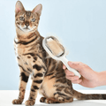 FurBuddy