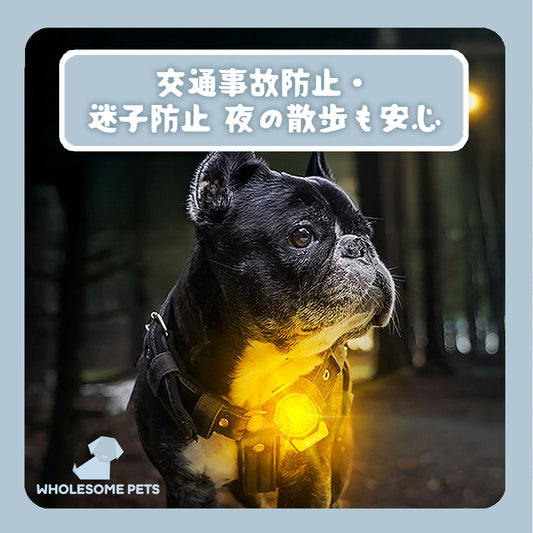 WPJP 暗