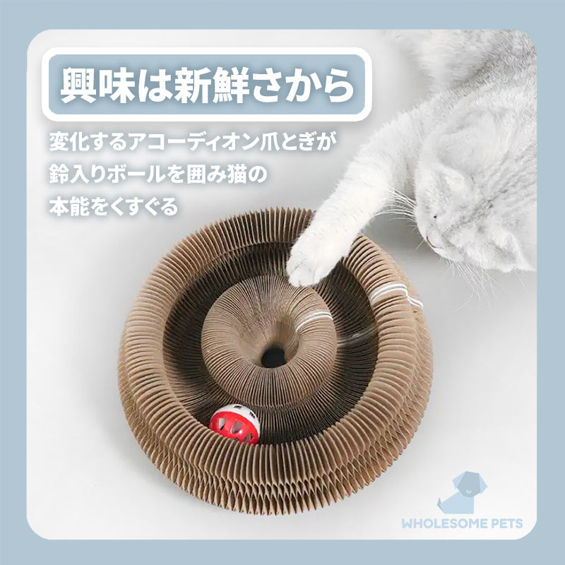 WPJP アコポッド