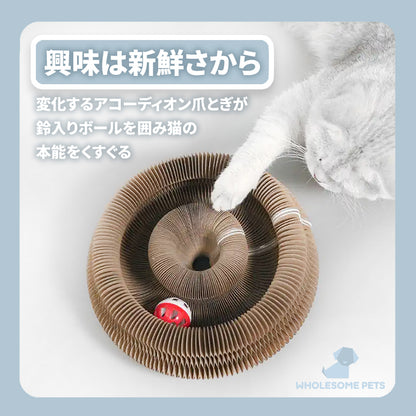 WPJP アコポッド