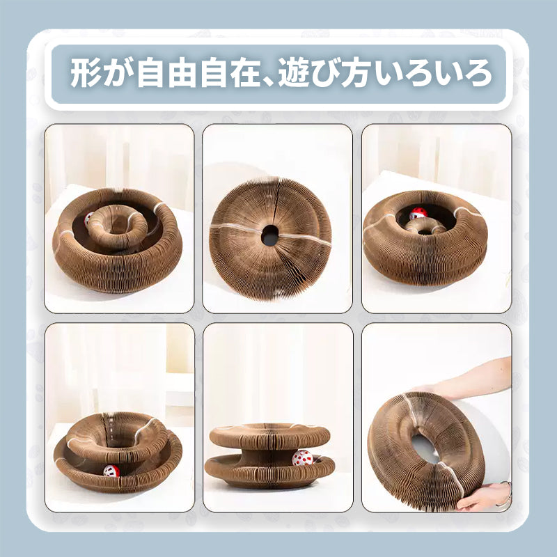 WPJP アコポッド