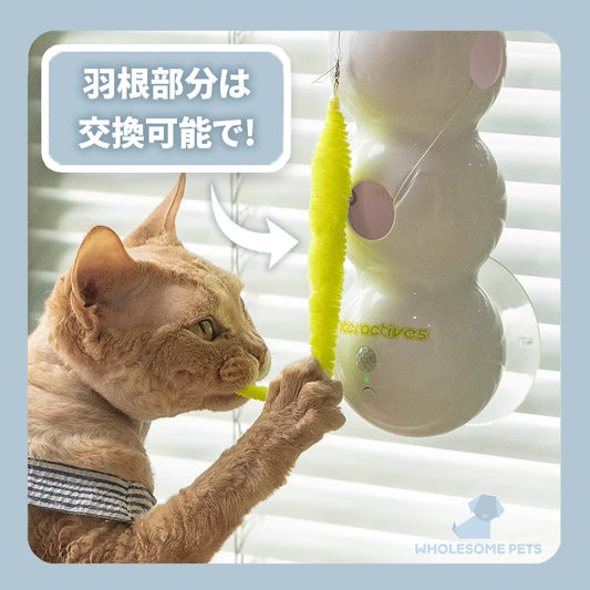 WPJP ムシボン