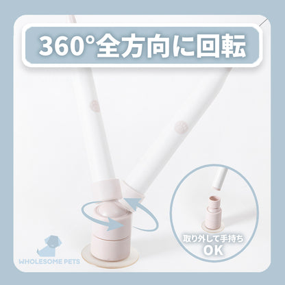 WPJP チョウワンド