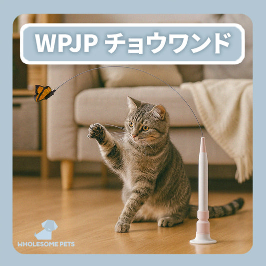 WPJP チョウワンド