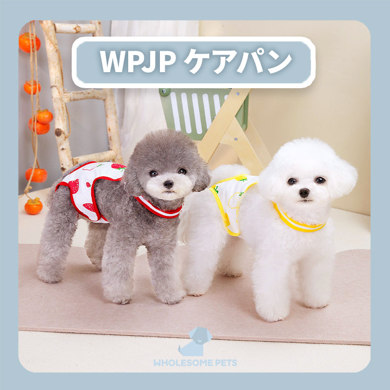 WPJP ケアパン