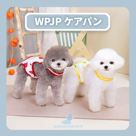 WPJP ケアパン