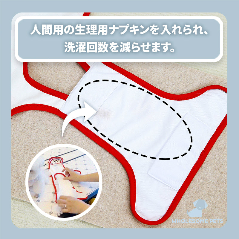WPJP ケアパン