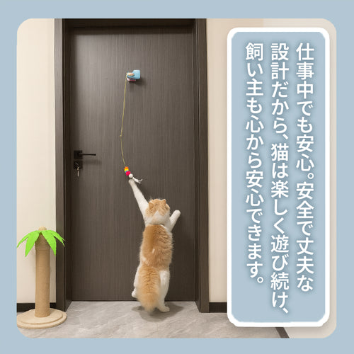 WPJP ニャンヨ