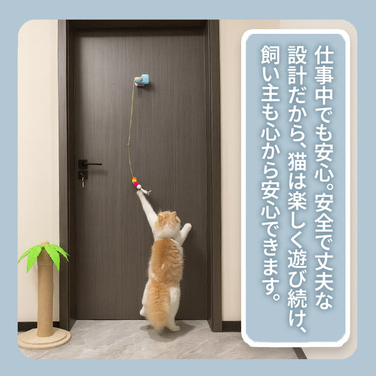 WPJP ニャンヨ
