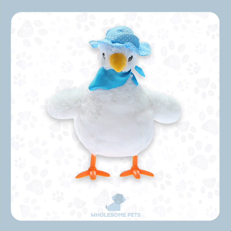 WPJP タマウミニワトリ – Wholesome Pets Japan