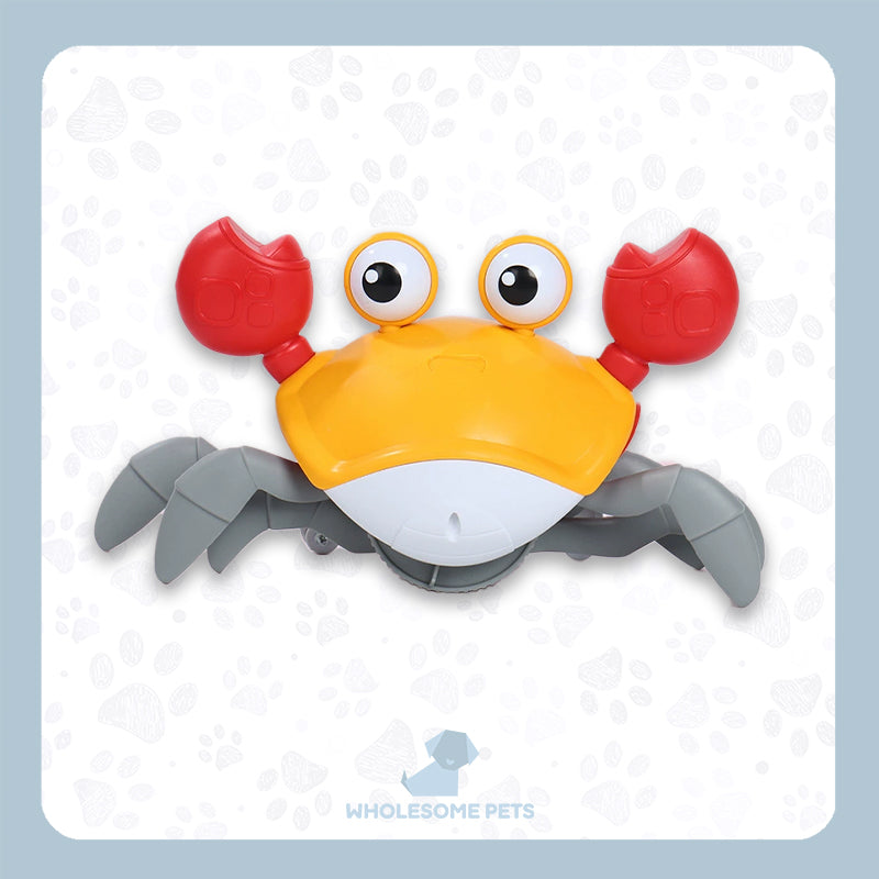 WPJP ニゲカニ – Wholesome Pets Japan