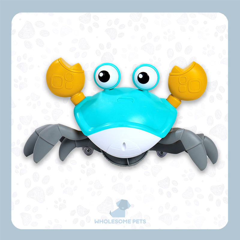 WPJP ニゲカニ – Wholesome Pets Japan